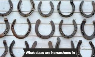 what class are horseshoes in