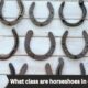 what class are horseshoes in