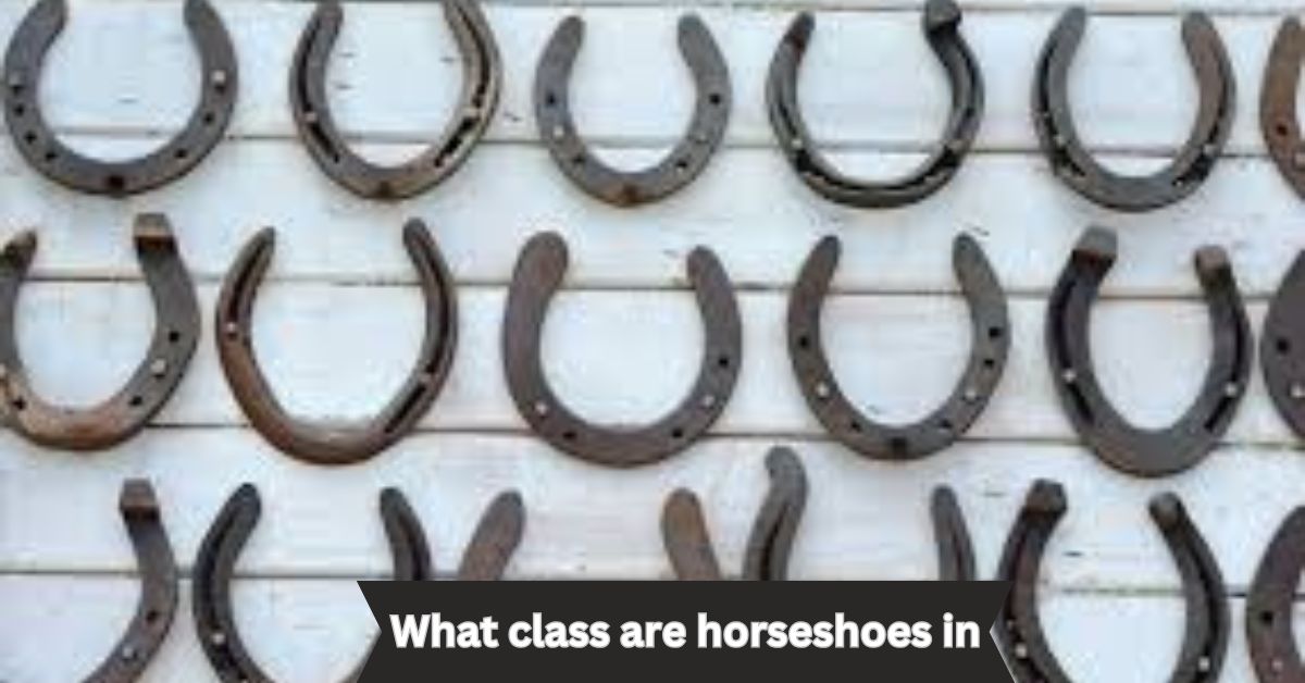 what class are horseshoes in