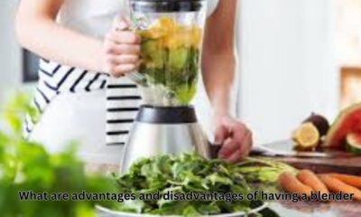 What are advantages and disadvantages of having a blender