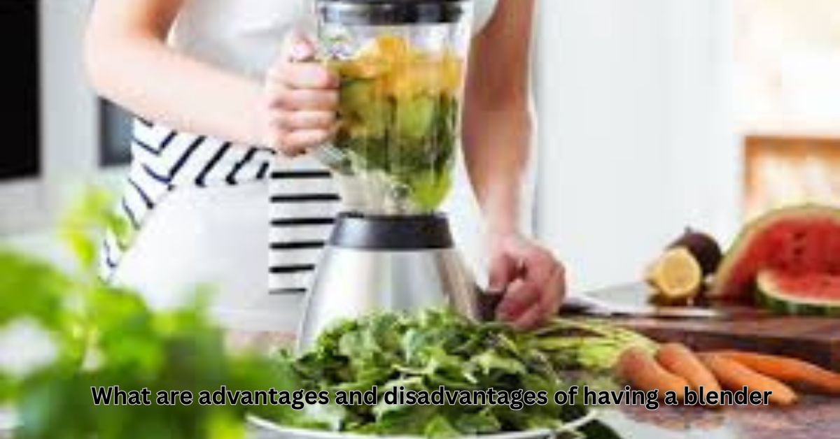 What are advantages and disadvantages of having a blender