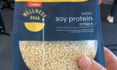 what do soy protein crisps taste like