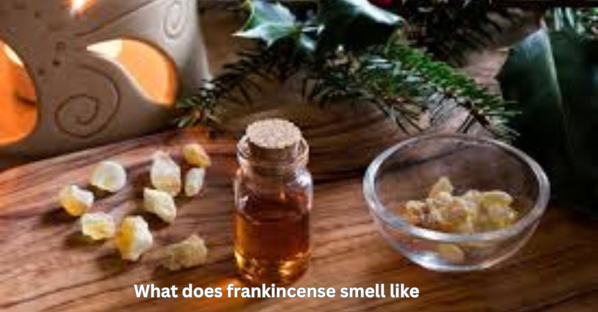 what does frankincense smell like