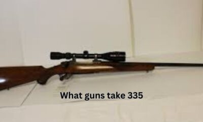 what guns take 335