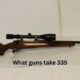 what guns take 335