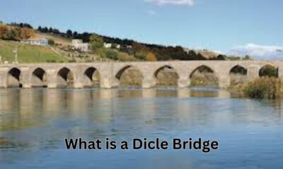 what is a dicle bridge