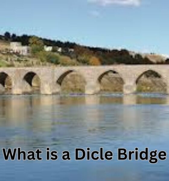 what is a dicle bridge