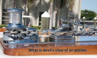 what is devil's claw of an anchor