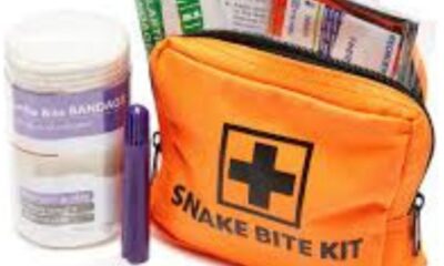 what is in a first aid kit for snake bites