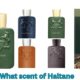 what scent of haltane