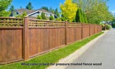 what color is best for pressure treated fence wood