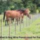 What is hog wire fence used for farming?