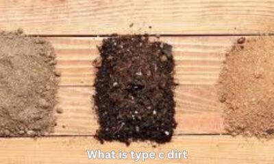 what is type c dirt