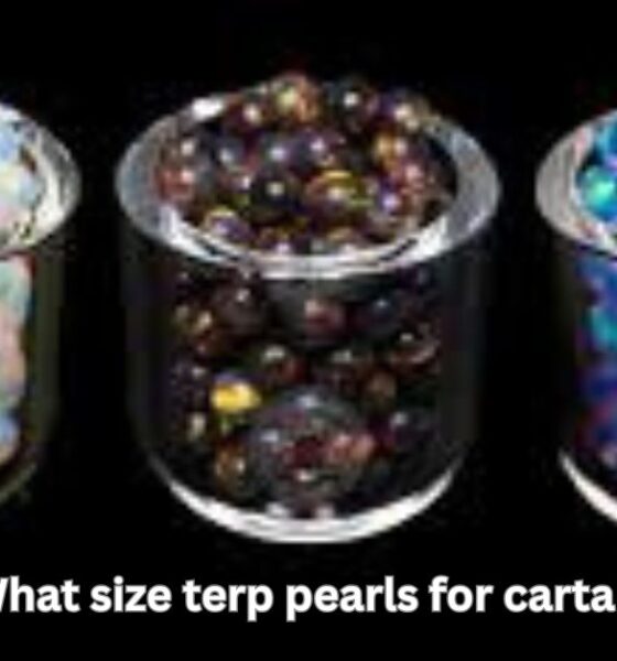 what size terp pearls for carta 2