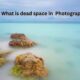 what is dead space in Photography