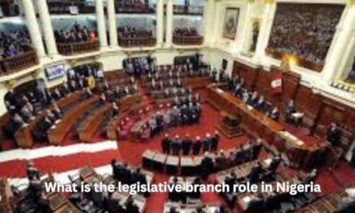 what is the legislative branch role in Nigeria