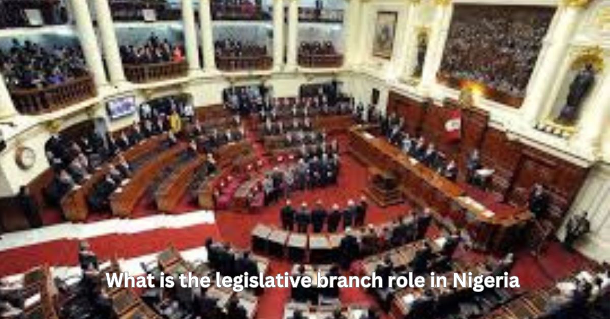 what is the legislative branch role in Nigeria