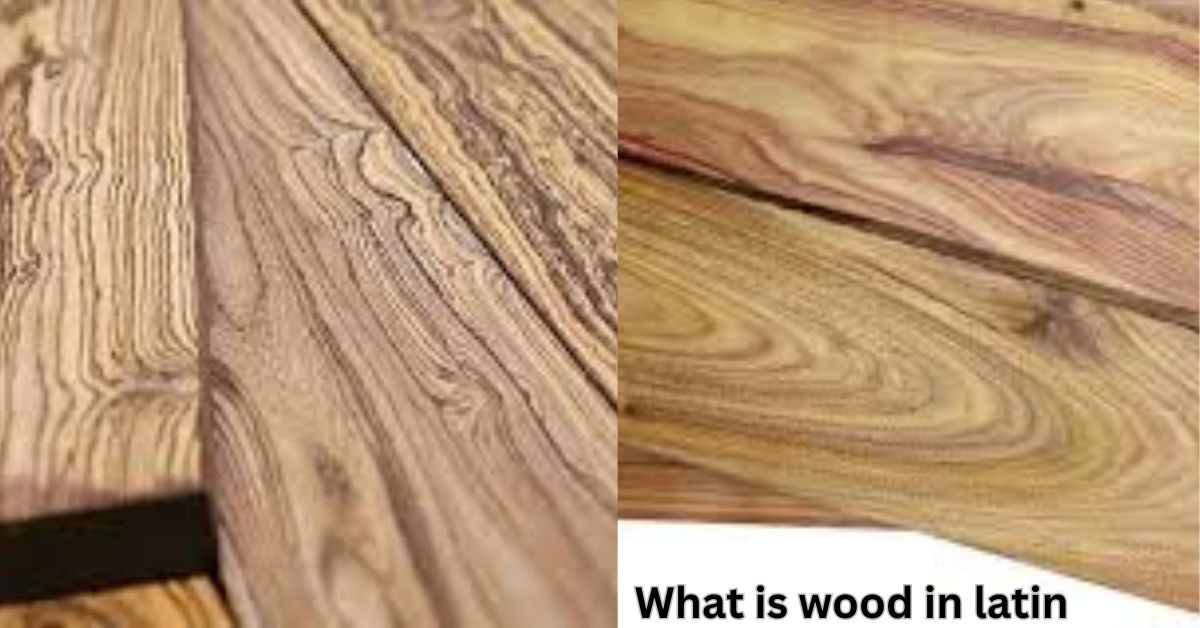 what is wood in latin