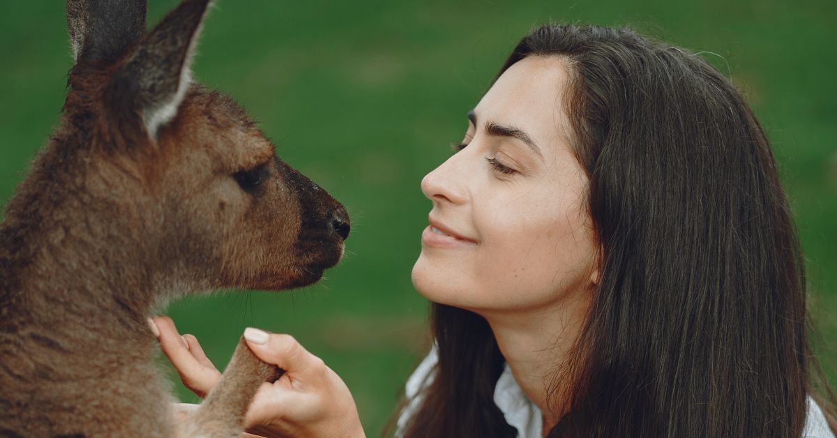 Llama Love: Adopt a Furry Friend Today