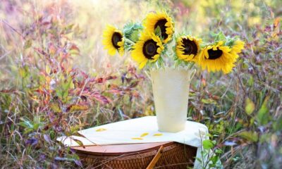 Fresh Flower Arrangements: Simple Ways to Brighten Any Space