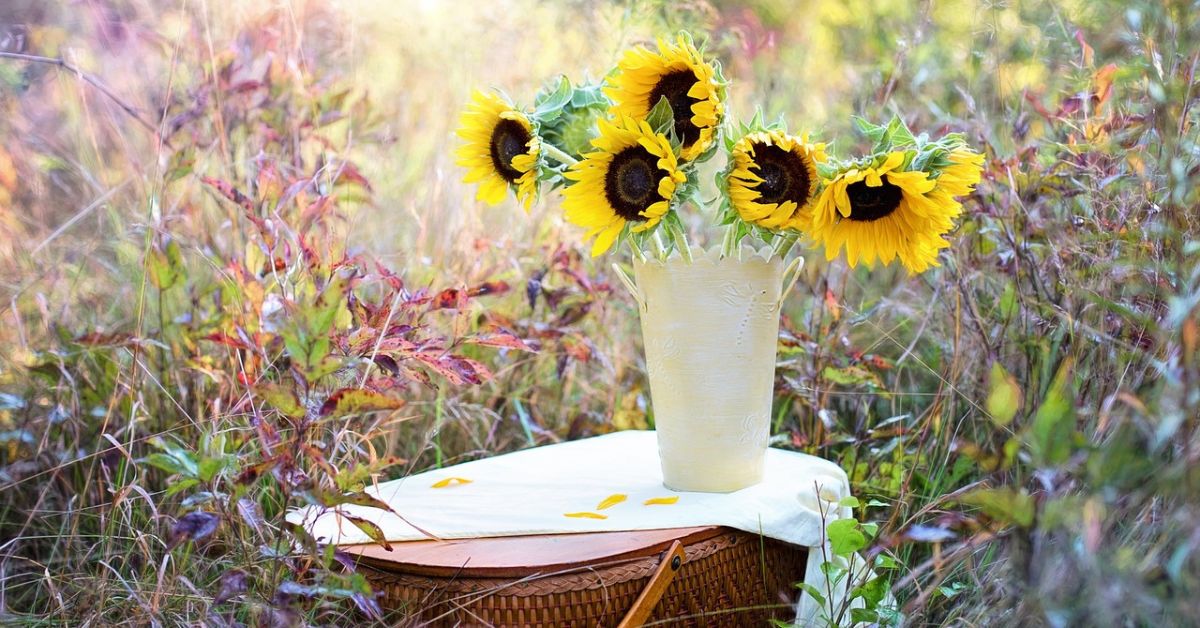 Fresh Flower Arrangements: Simple Ways to Brighten Any Space
