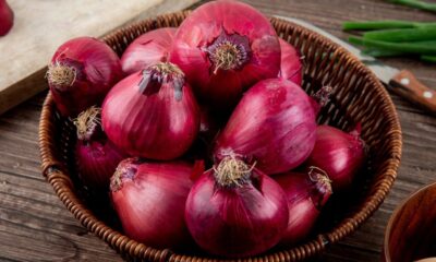 OnionPlay: Stream Boldly, Watch Freely