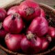 OnionPlay: Stream Boldly, Watch Freely