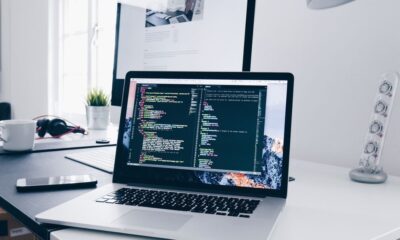 software developer income