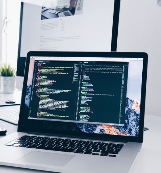 software developer income