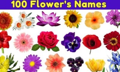 100 flower names