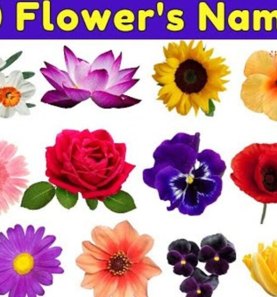 100 flower names