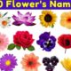 100 flower names