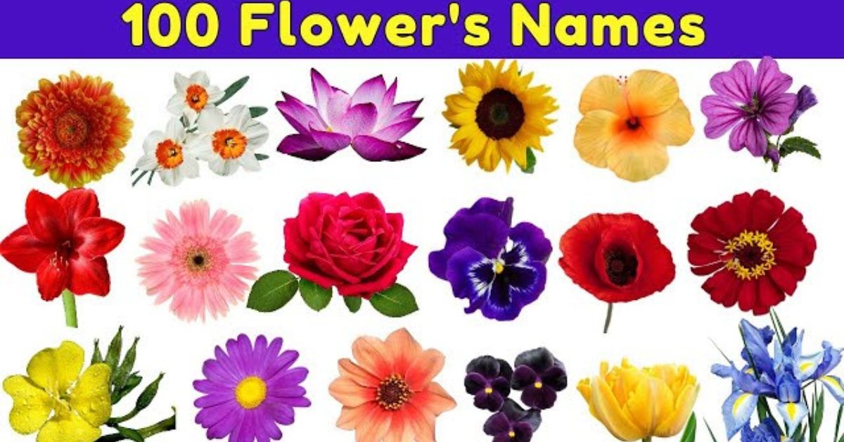 100 flower names