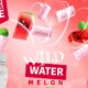 watermelon gum
