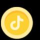 tiktok coins